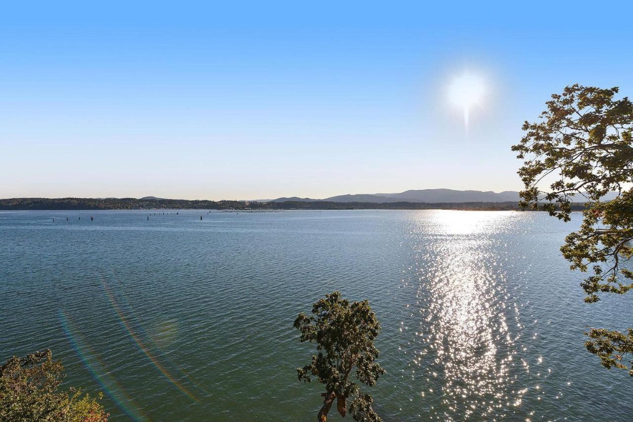 Salishan Tree House Suite Cowichan Bay Ngoại thất bức ảnh