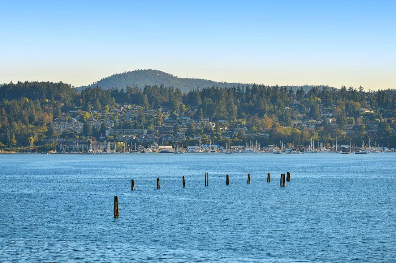 Salishan Tree House Suite Cowichan Bay Ngoại thất bức ảnh