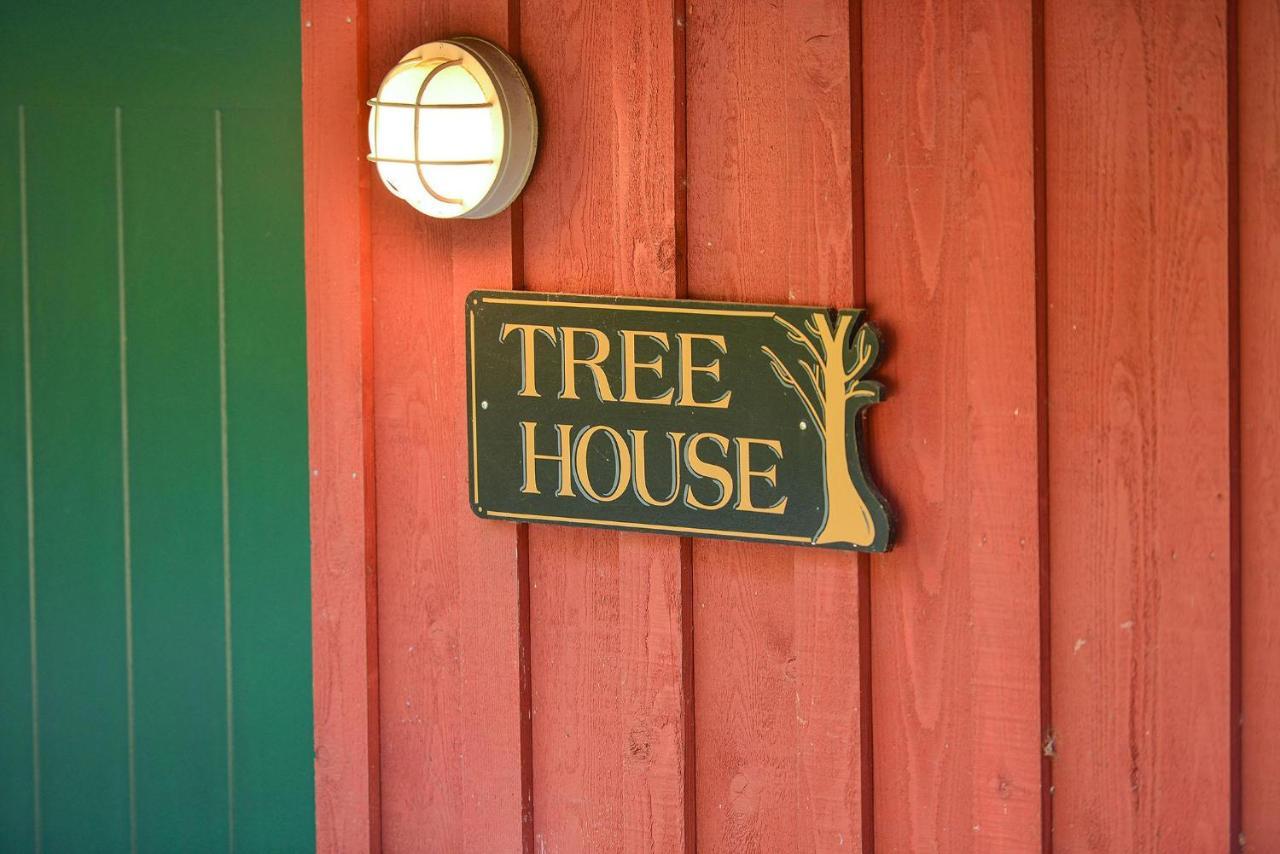 Salishan Tree House Suite Cowichan Bay Ngoại thất bức ảnh