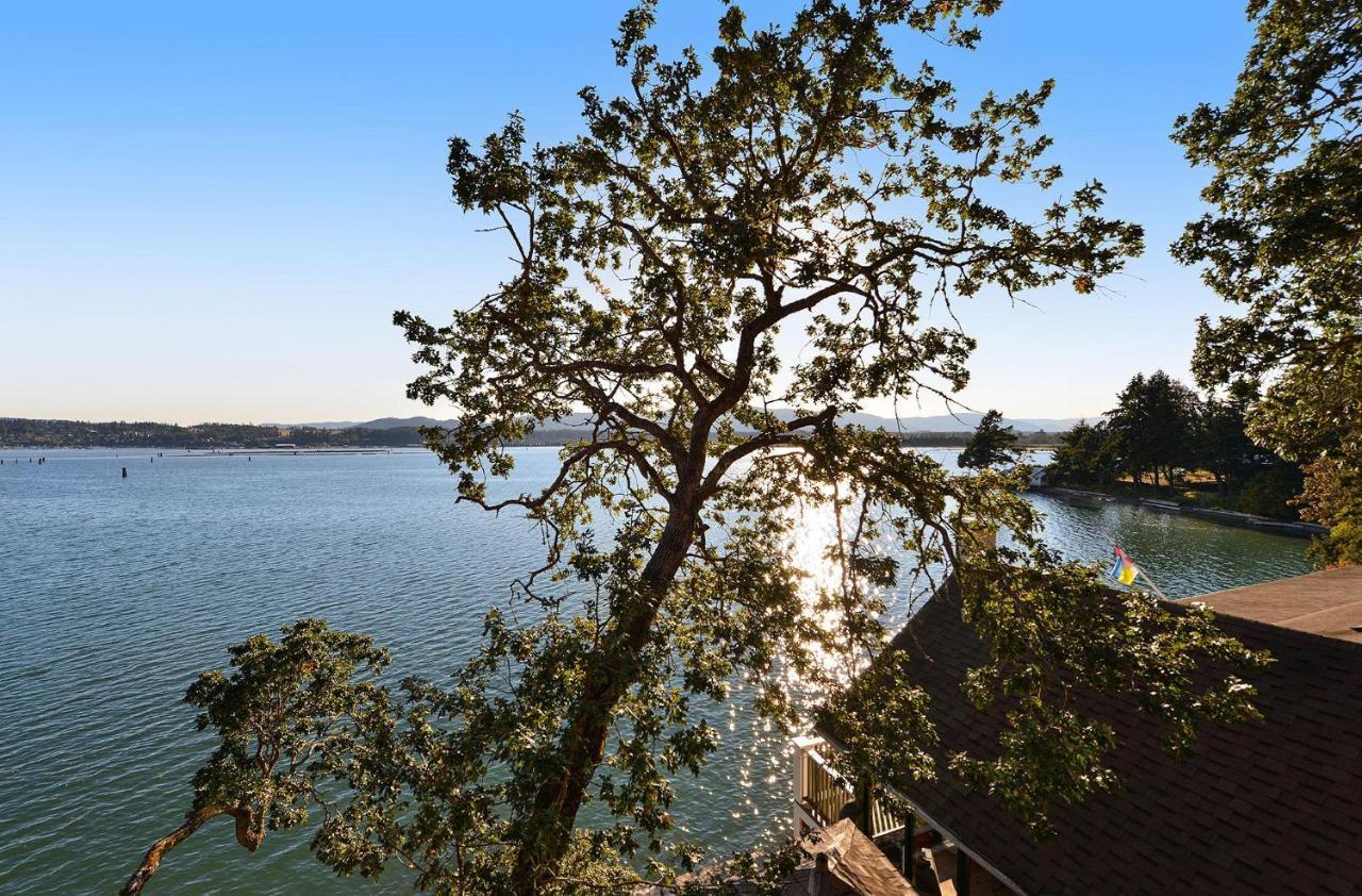 Salishan Tree House Suite Cowichan Bay Ngoại thất bức ảnh