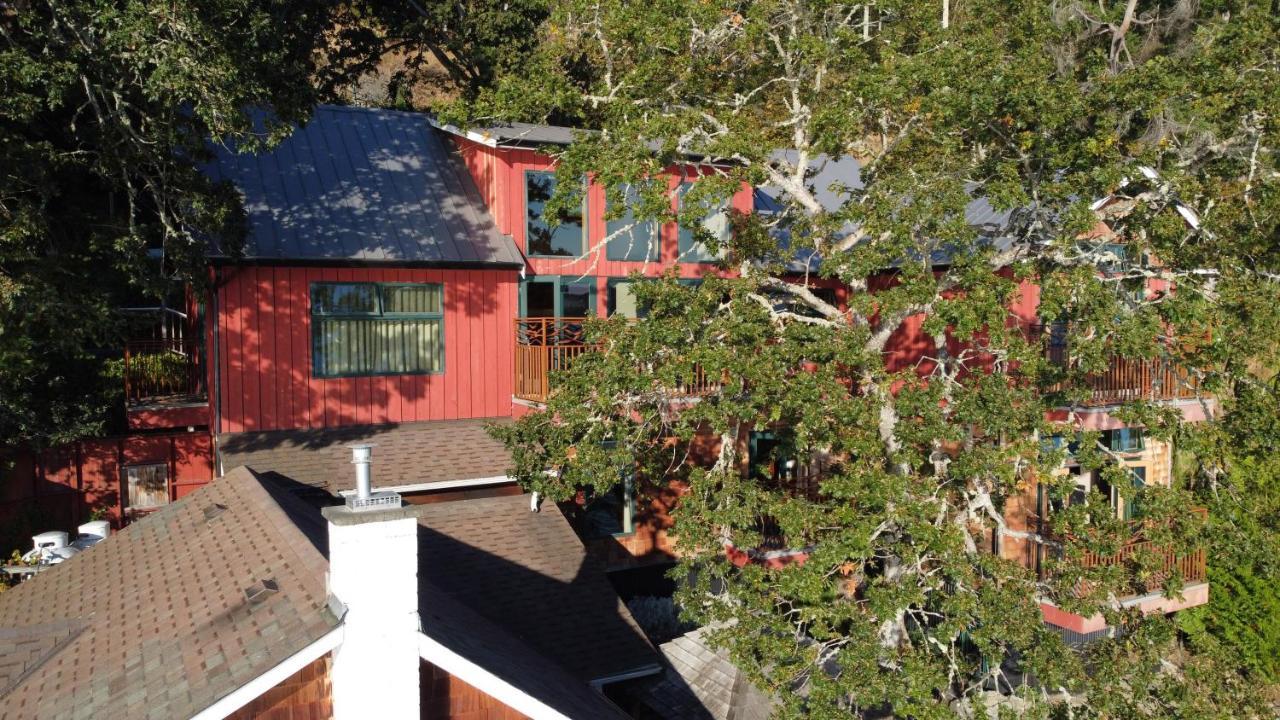 Salishan Tree House Suite Cowichan Bay Ngoại thất bức ảnh